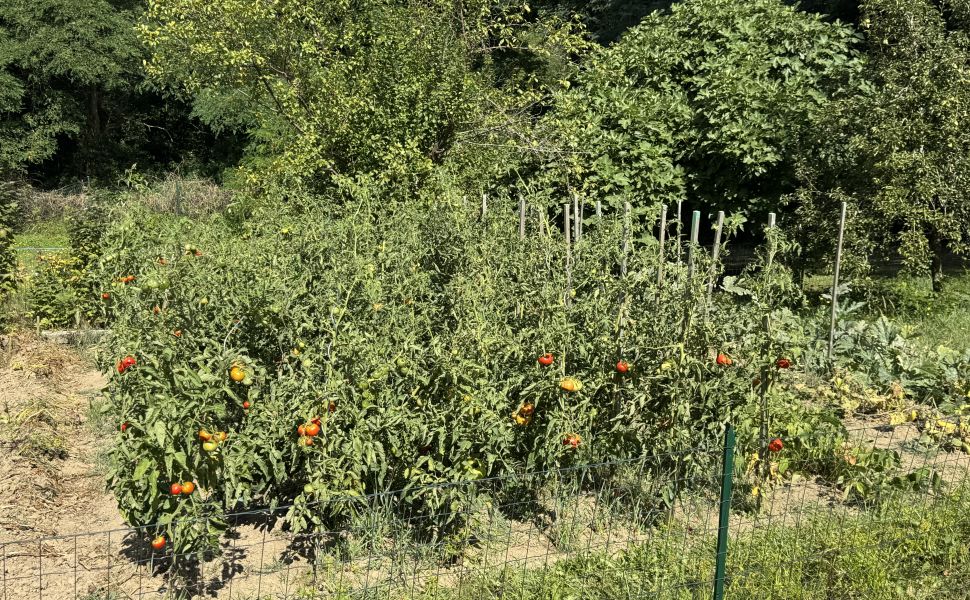 Authentique Ferme à Quatre Corps Avec Cour Intérieur, Dépendances et Jardin Paysager