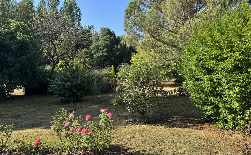 Charmant Ensemble Béarnais avec Maison Rénovée, Granges et Potentiel de Gîte 