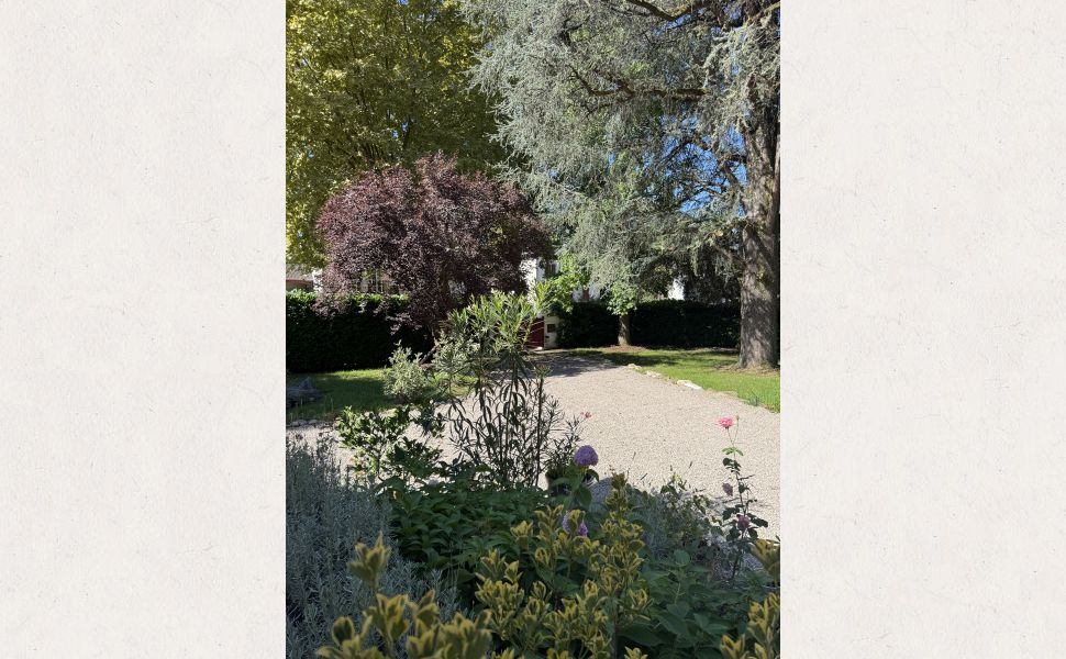 Exceptionnelle Maison d'Architect En Centre Ville Navarrenx