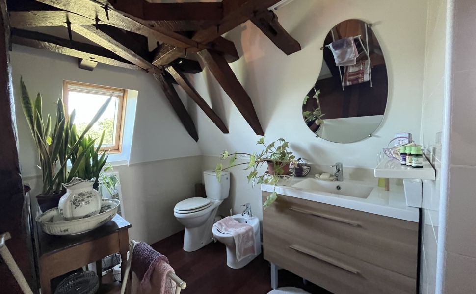 Charmante Ferme Béarnaise Rénovée avec soin; 3 chambres, Grange et Vue Pyrénées