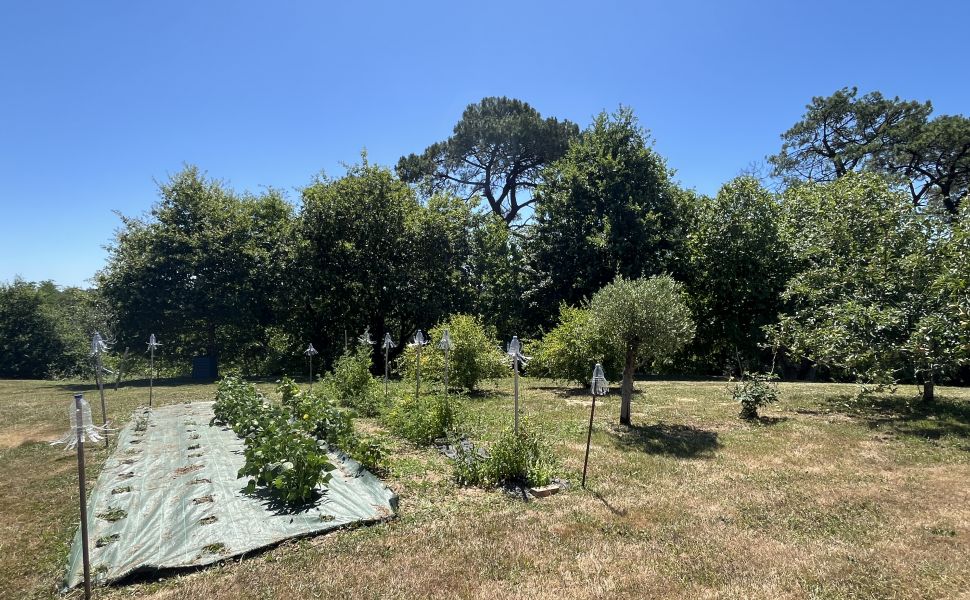 Vaste Propriété landaise exceptionnelle à fort potentiel touristique, vue panoramique, piscine et dé