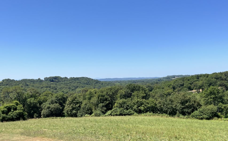 Vaste Propriété landaise exceptionnelle à fort potentiel touristique, vue panoramique, piscine et dé