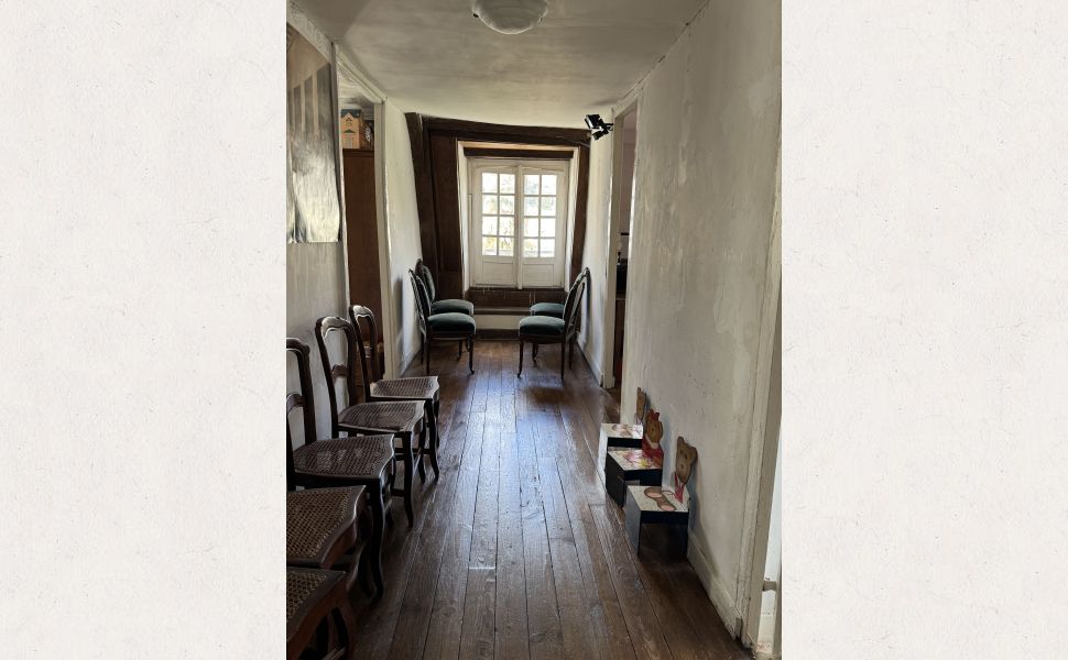 Élégante Maison de Maître Napoléon III Au Cœur de Salies-de-Béarn