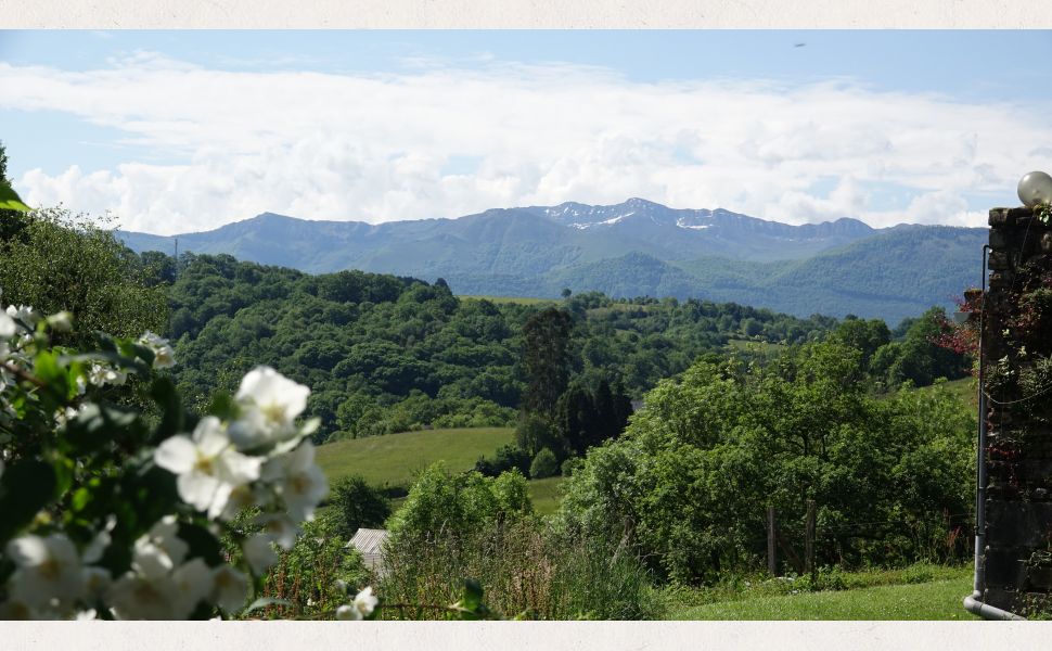 Demeure de charme en pierre avec vues panoramiques sur les Pyrénées et 19,6 HA