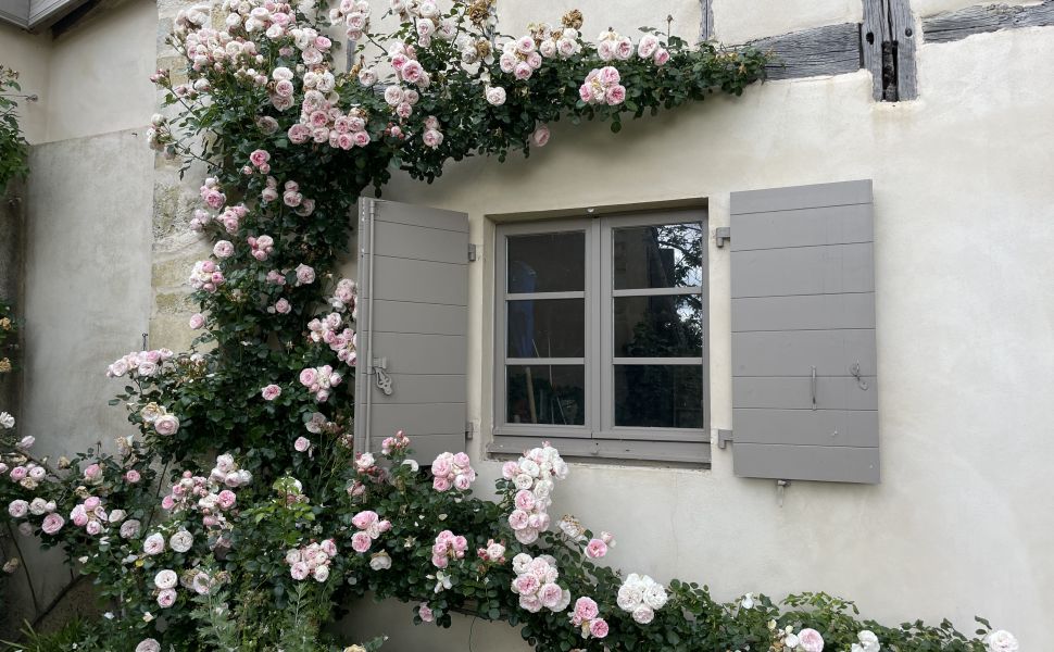 Vaste Demeure de Village du XVIII avec 9 Chambres, Piscine au Sel & Vue Pyrénées