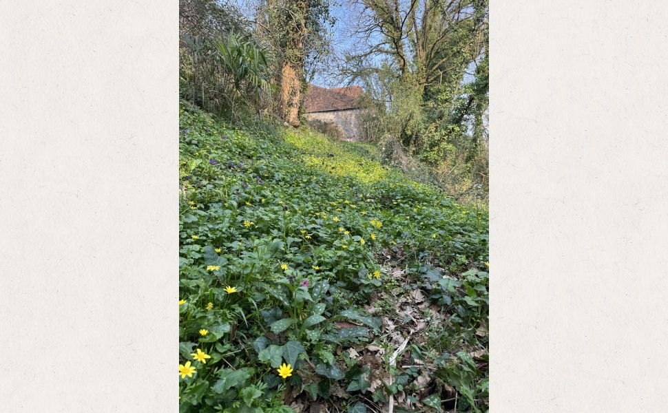 Demeure de Village de Caractère avec accès direct à la Rivière