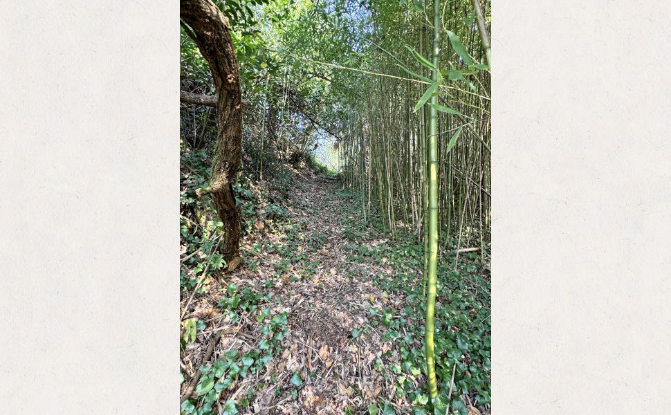 Demeure de Village de Caractère avec accès direct à la Rivière