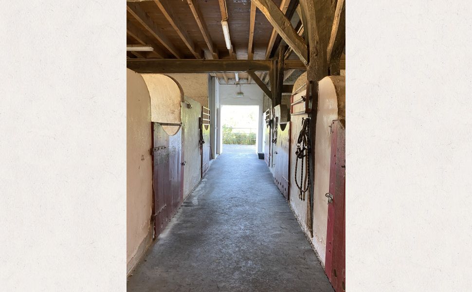 Ensemble Immobilier : Maison de Maître ; Bureaux Indépendants ; Maison d’Amis ; Écuries & Manège sur