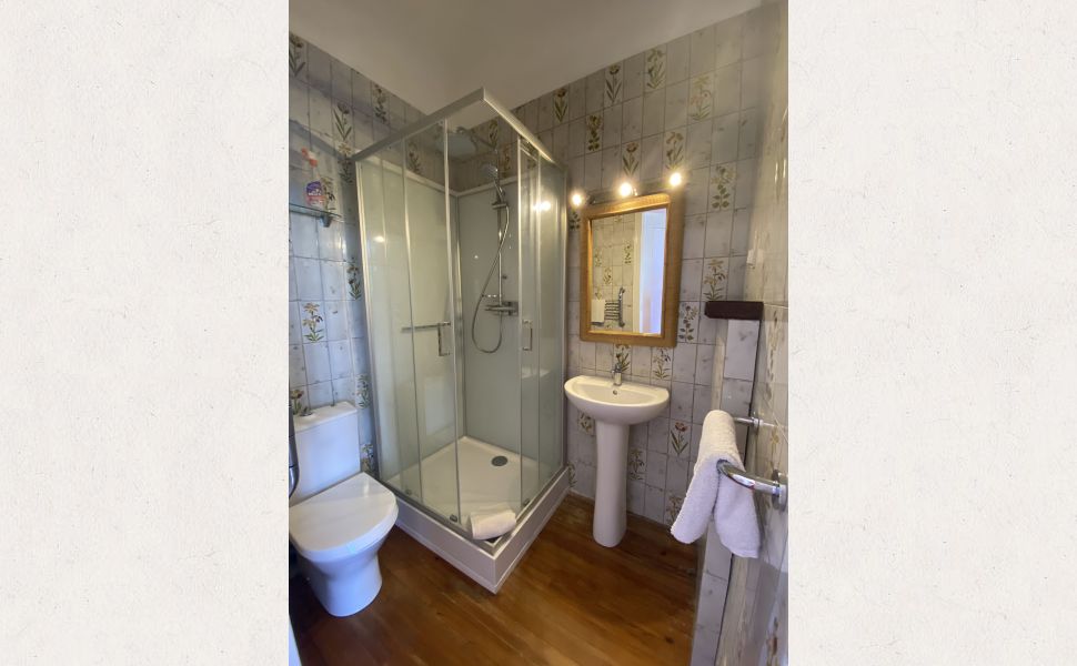 Magnificent 18th Century Maison de Maitre and Coach House with Pool