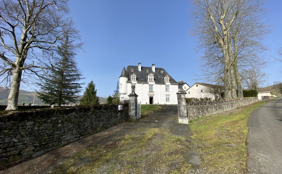 Magnifique Château Historique avec 2 Gîtes, Grange et 8 HA : Au Pied de la Montagne Basque