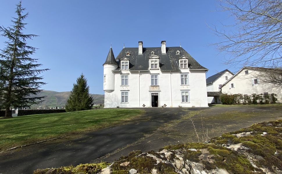 Magnifique Château Historique avec 2 Gîtes, Grange et 8 HA : Au Pied de la Montagne Basque