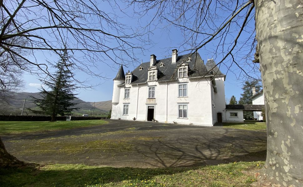 Magnifique Château Historique avec 2 Gîtes, Grange et 8 HA : Au Pied de la Montagne Basque