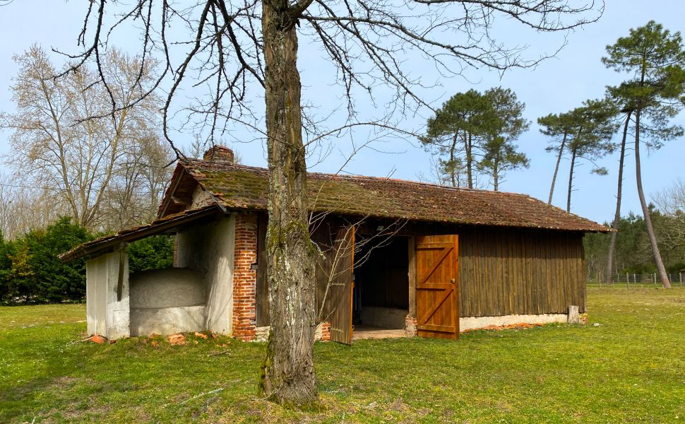 French Country Cottage in the woods with 1HA & easy access to Bordeaux