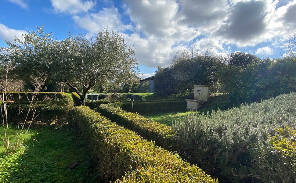 An Irreproachably Restored & Naturally Light 17C Presbytery: Pyrenean Views; Orchard; Veg garden!
