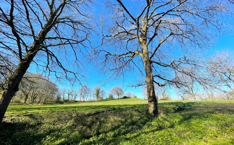 Rare & Unique Bâtisse du XVe siècle avec Gîte