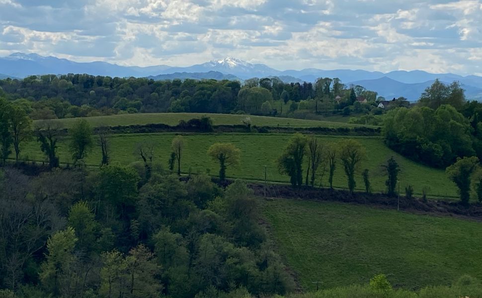 Beautiful renovated Bearnaise Farmhouse with Exceptional Views of the Pyrenees Mountains