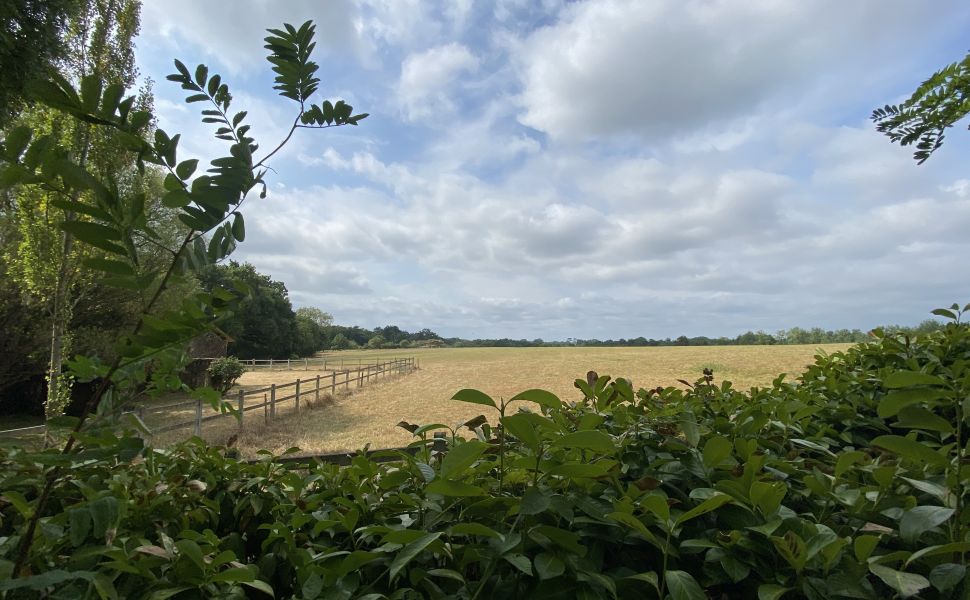 Propriété Equestre avec 12 HA dont 10 HA de Prairie plate, Dépendances Impressionnantes