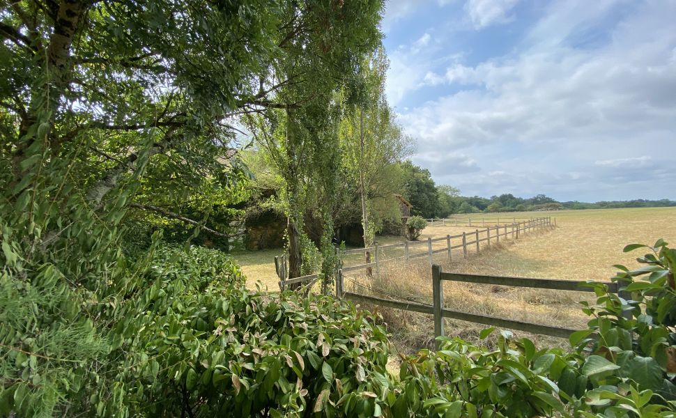 Propriété Equestre avec 12 HA dont 10 HA de Prairie plate, Dépendances Impressionnantes