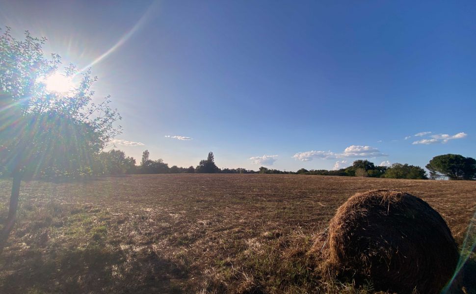 Superbe fermette landaise + Gite, sur 6,5HA composé d'un parc, d'une prairie et de vignes