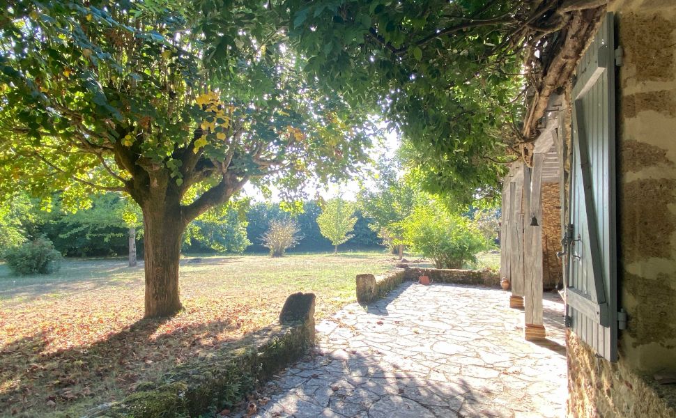 Superbe fermette landaise + Gite, sur 6,5HA composé d'un parc, d'une prairie et de vignes