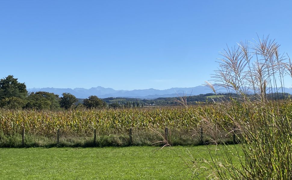 An Attractive Contemporary Rural Property With Spectacular Mountain Views