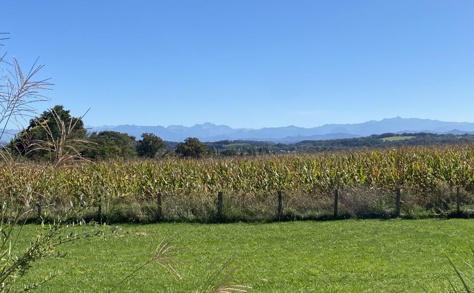 An Attractive Contemporary Rural Property With Spectacular Mountain Views