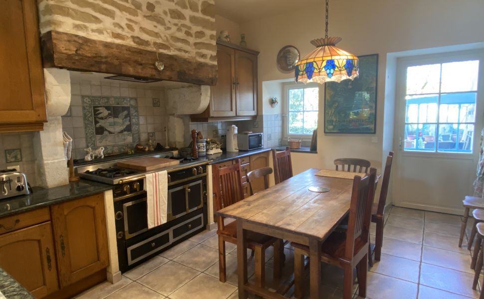 Beautiful Chateau with Independent Guest House and Mountain Views 