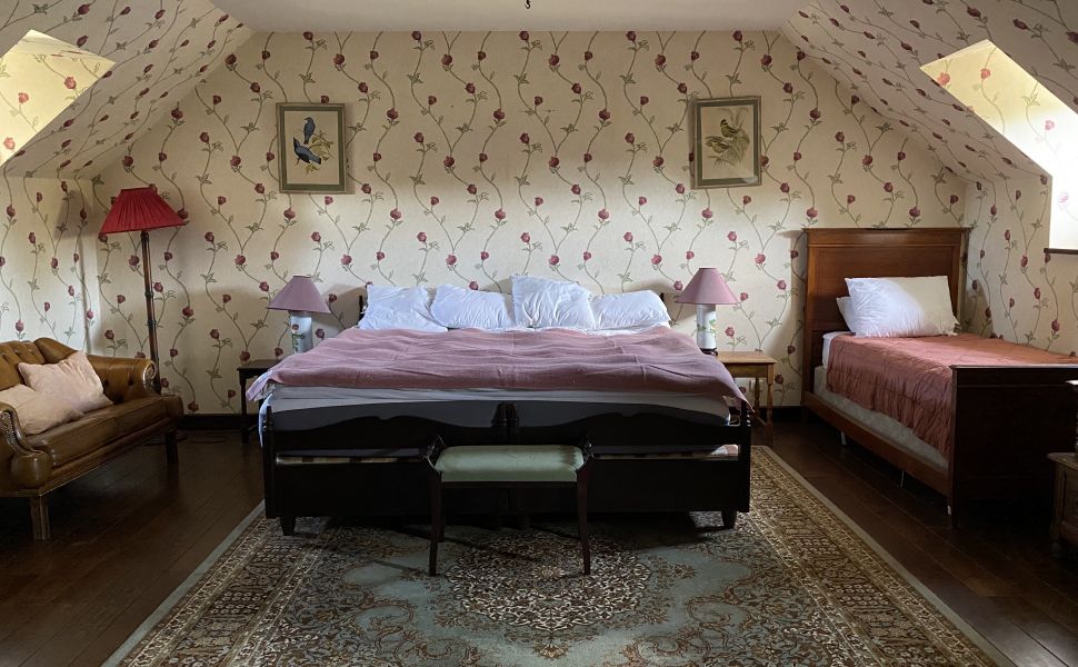 Beautiful Chateau with Independent Guest House and Mountain Views 