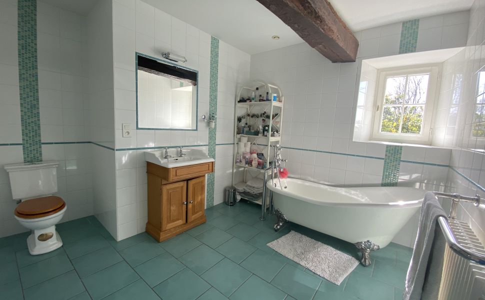 Beautiful Chateau with Independent Guest House and Mountain Views 