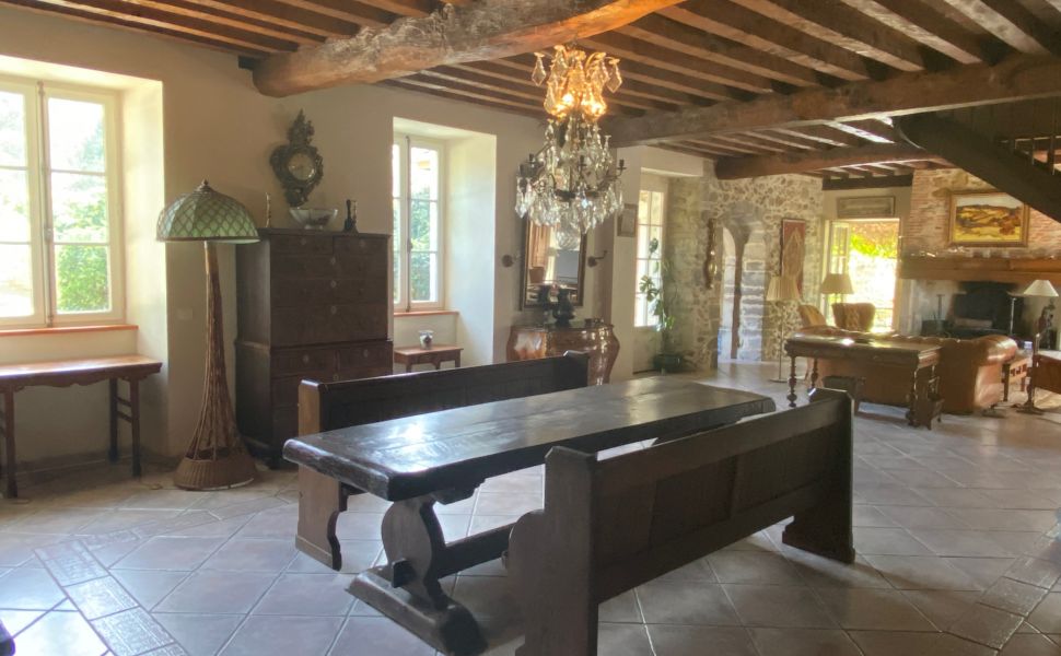 Beautiful Chateau with Independent Guest House and Mountain Views 
