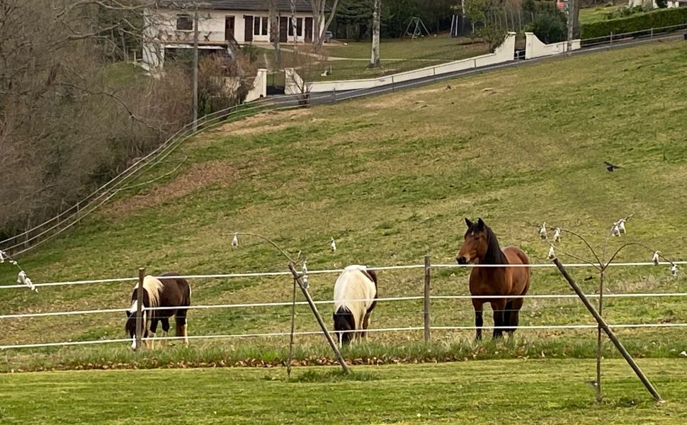 Family Home with Pyrenean Mountain Views; Pau; Jurancon Wine Region; Close to local Amenities