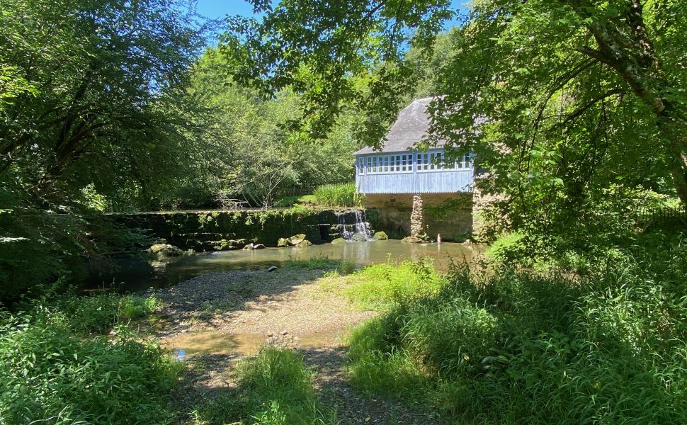 A Charming Water Mill & Guest Cottage, set in Idyllic Private Grounds