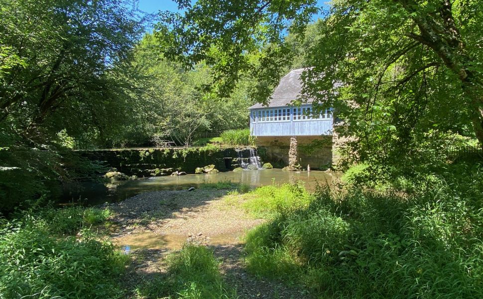 Ancien Moulin à Eau Avec Gîte au Cœur de la Campagne Basque.