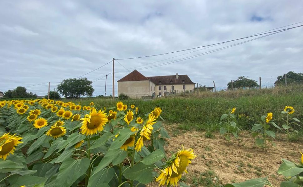 Corps de Ferme 19ème Siècle Avec 2.7 Hectares du Terrain Privé