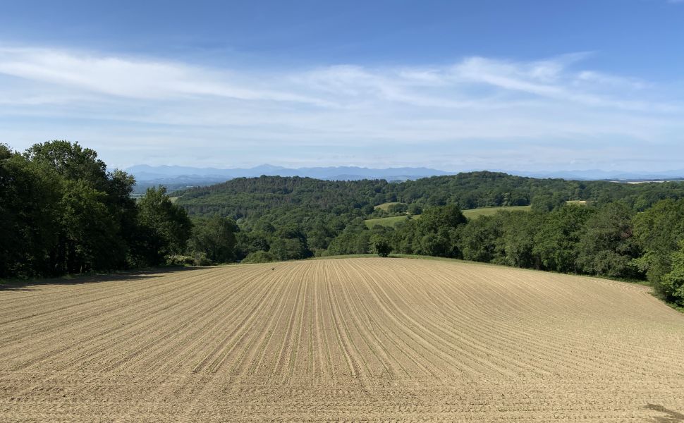 Magnificent 18C Ensemble Bearnaise With Pool, Terrasse And Majestic Mountain Views In 3.2 Hectares