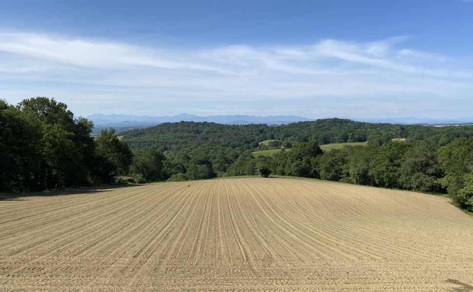 Magnifique Ensemble Béarnais Avec Vue Époustouflante Depuis Ses 3.2 Hectares