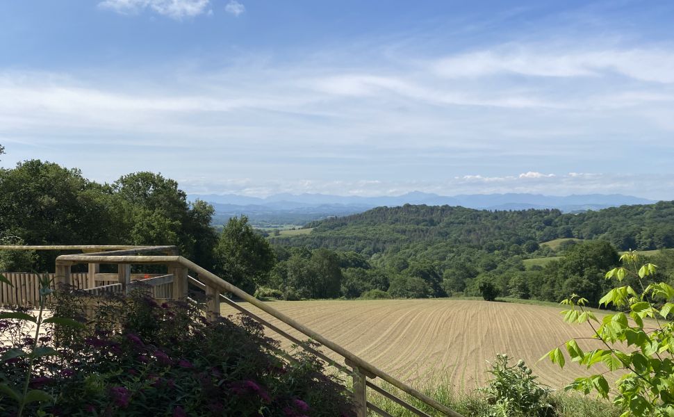 Magnifique Ensemble Béarnais Avec Vue Époustouflante Depuis Ses 3.2 Hectares