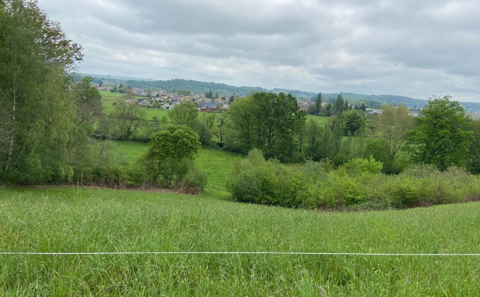 Superbe Château Renaissance datant du XVIIe siècle, avec un parc de 5,8 hectares