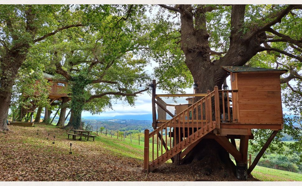 A Splendid & Unique Country Home with Exceptional Pyrenean Mountain Views!!