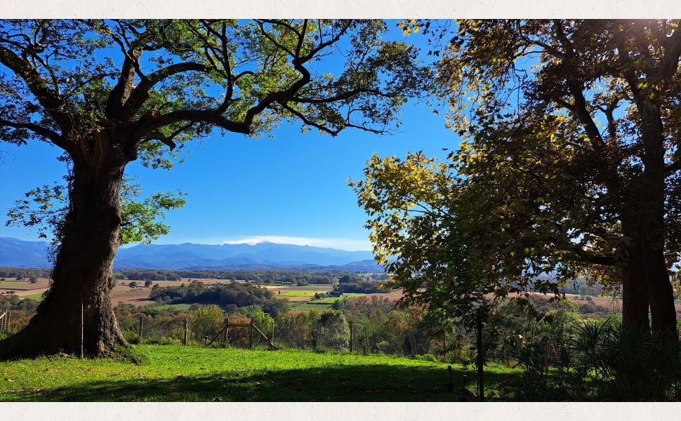 A Splendid & Unique Country Home with Exceptional Pyrenean Mountain Views!!