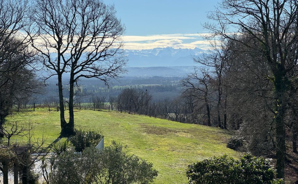 Charmante Néo-Béarnaise dans un Environnement préservé, Vue sur les Pyrénées & Piscine