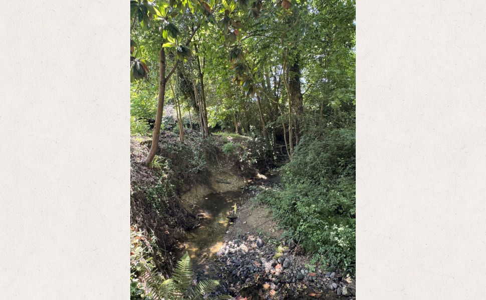 Charmant Moulin Datant du 19ème Siècle, Doté d'Une Piscine, Dans Un Cadre de Paix