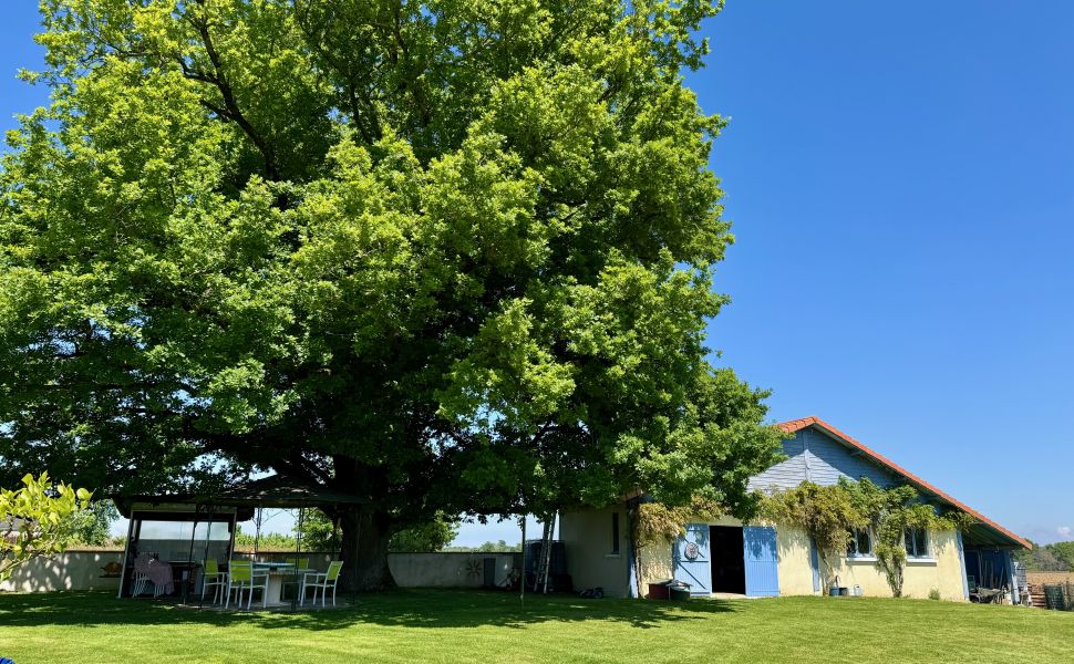 Superbe Propriété avec Vue Imprenable sur les Pyrénées, Gîte, Piscine et Jardin Paysager