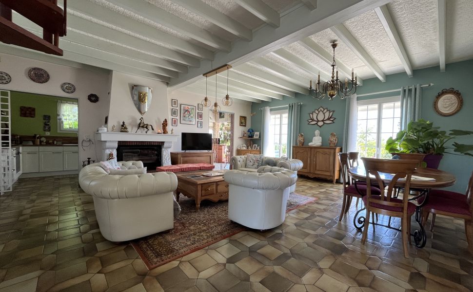 Superbe Propriété avec Vue Imprenable sur les Pyrénées, Gîte, Piscine et Jardin Paysager