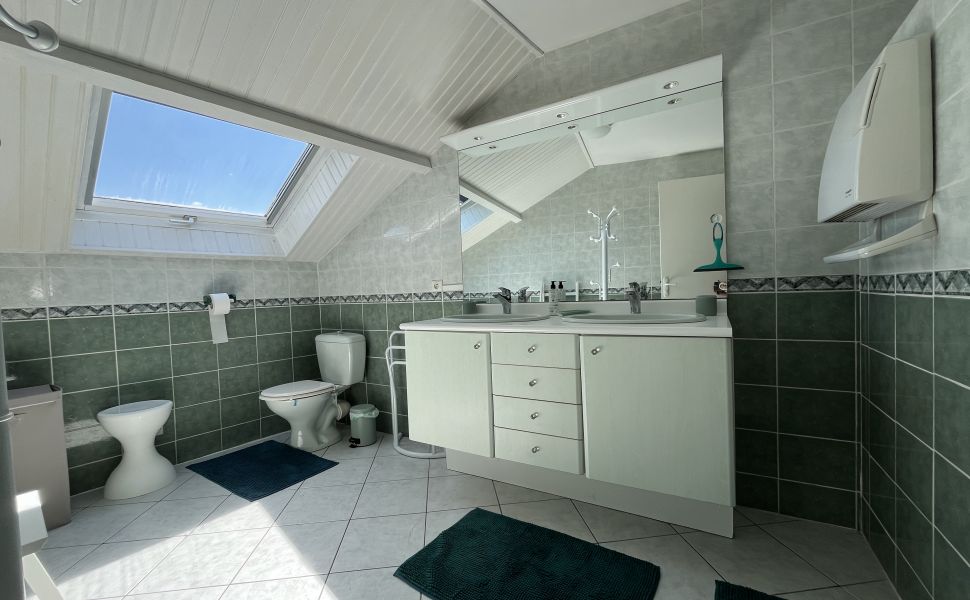 Superbe Propriété avec Vue Imprenable sur les Pyrénées, Gîte, Piscine et Jardin Paysager