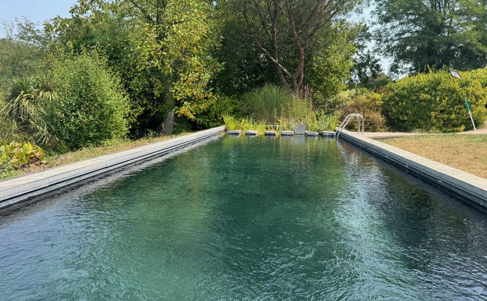 Vues Infinies dans Cette Jolie Propriété Chalonnaise avec Gîte et Piscine Naturelle