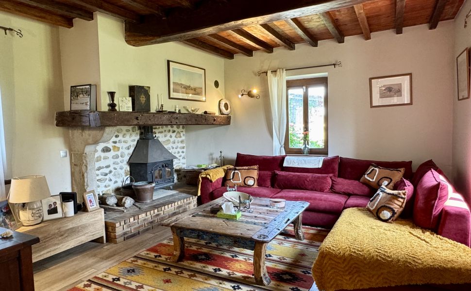 Adorable Bearnaise Ferme Avec Un Magnifique Gîte, Piscine Chauffée et Vue Montagne