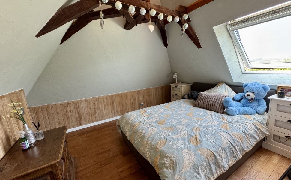 Adorable Bearnaise Ferme Avec Un Magnifique Gîte, Piscine Chauffée et Vue Montagne