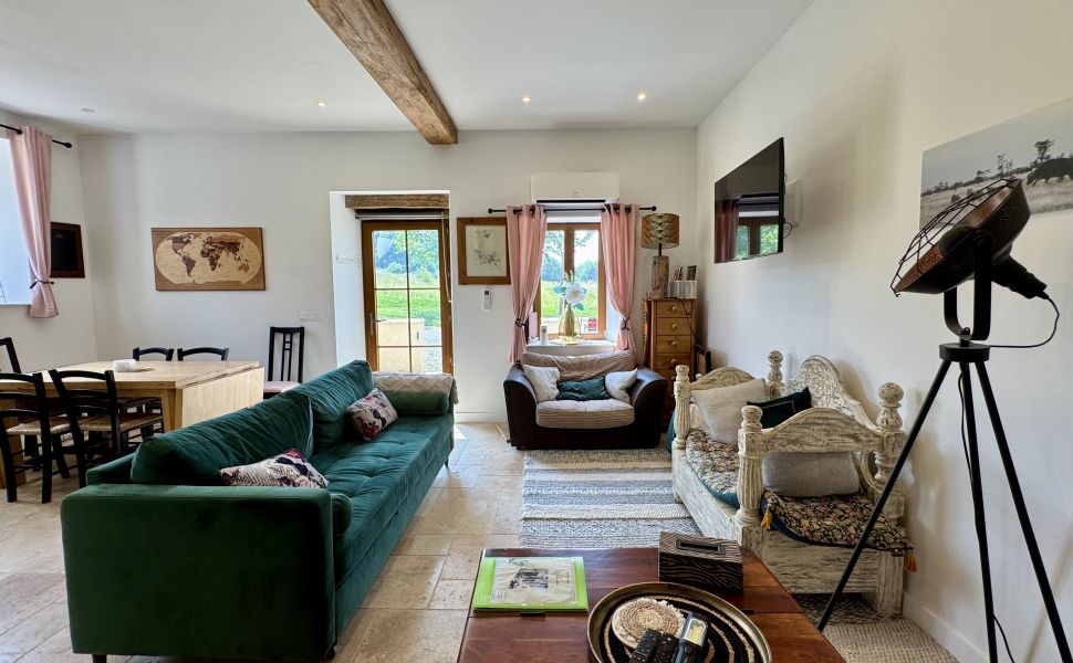 Adorable Bearnaise Ferme Avec Un Magnifique Gîte, Piscine Chauffée et Vue Montagne
