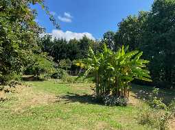 Superb 17th century Bearnaise farm in the heart of the Jurancon wine region just 20 minutes from Pau